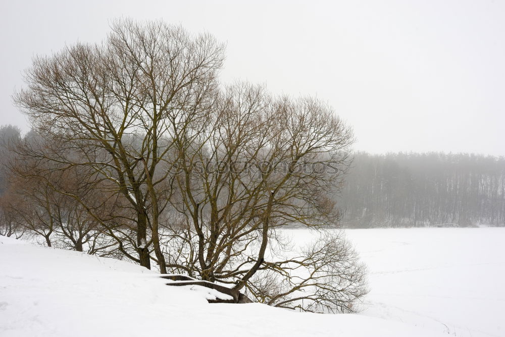 Similar – ice age Nature Landscape