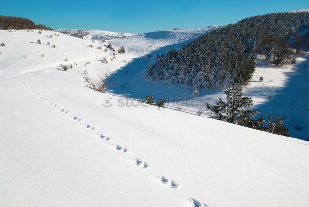 Similar – Cottage in the snow Nature