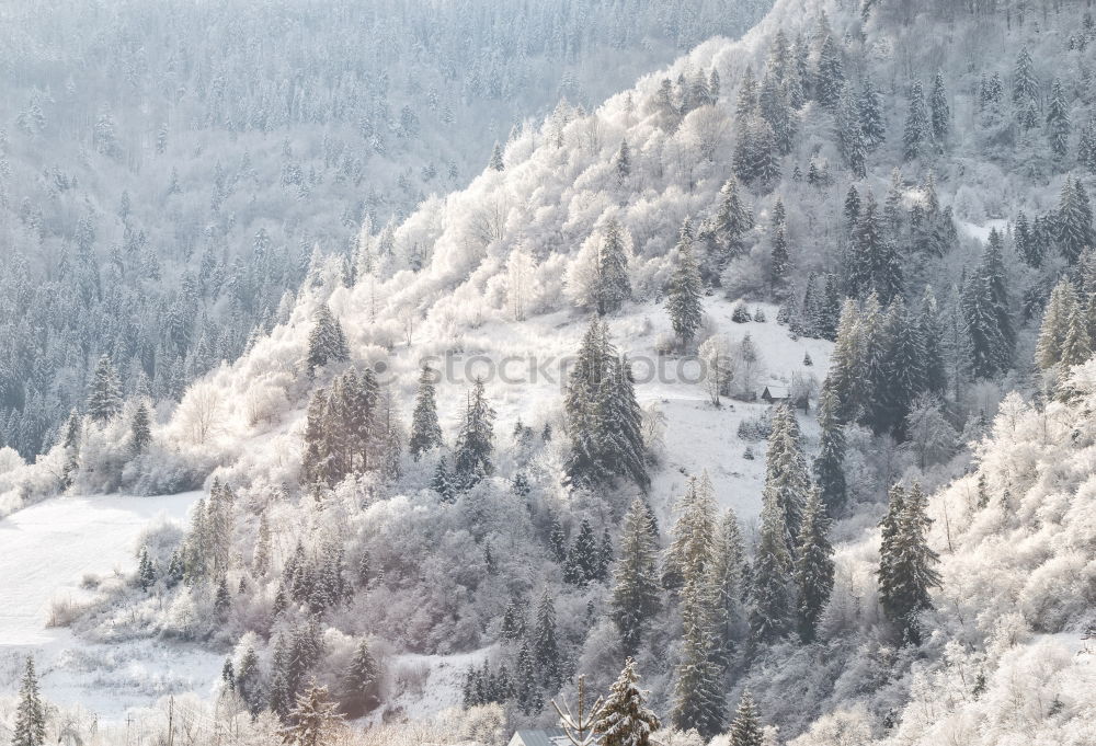 Similar – Image, Stock Photo First snow in autumn. Snowfall in mountains. Snow and fog