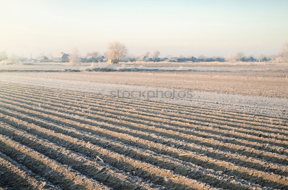 Image, Stock Photo winter landscape