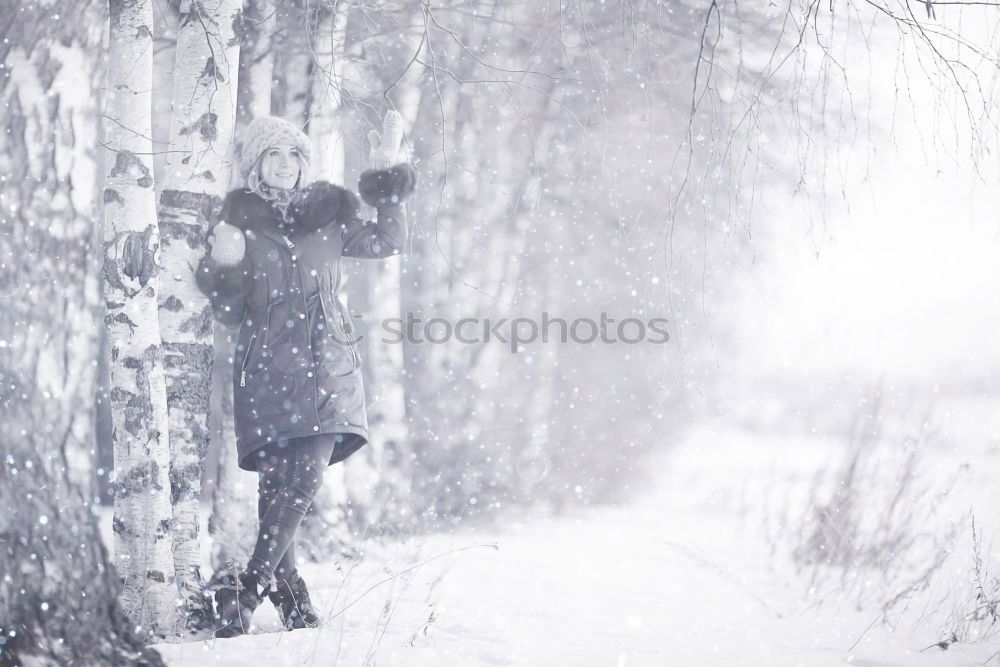 Similar – Image, Stock Photo At the lake Lake Ice