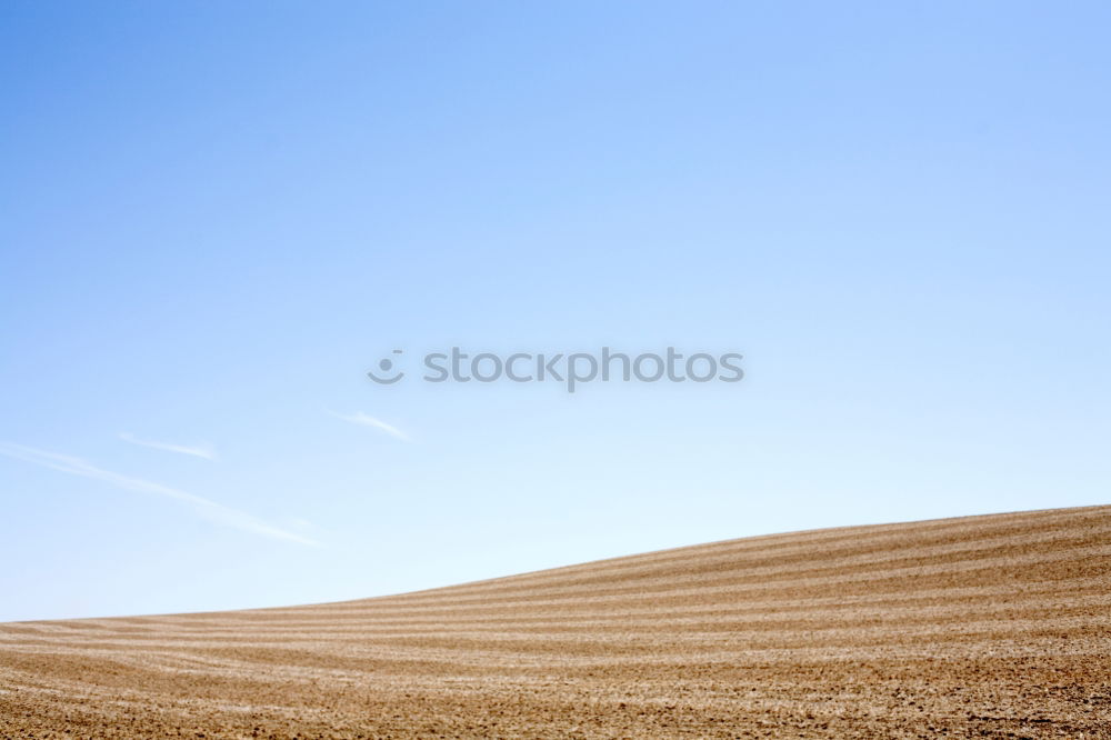 Similar – Himmel Baum Erde Wiese