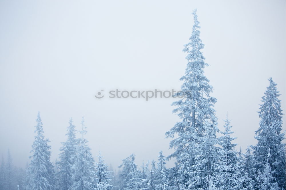 Similar – Image, Stock Photo Mountain road through piles of snow