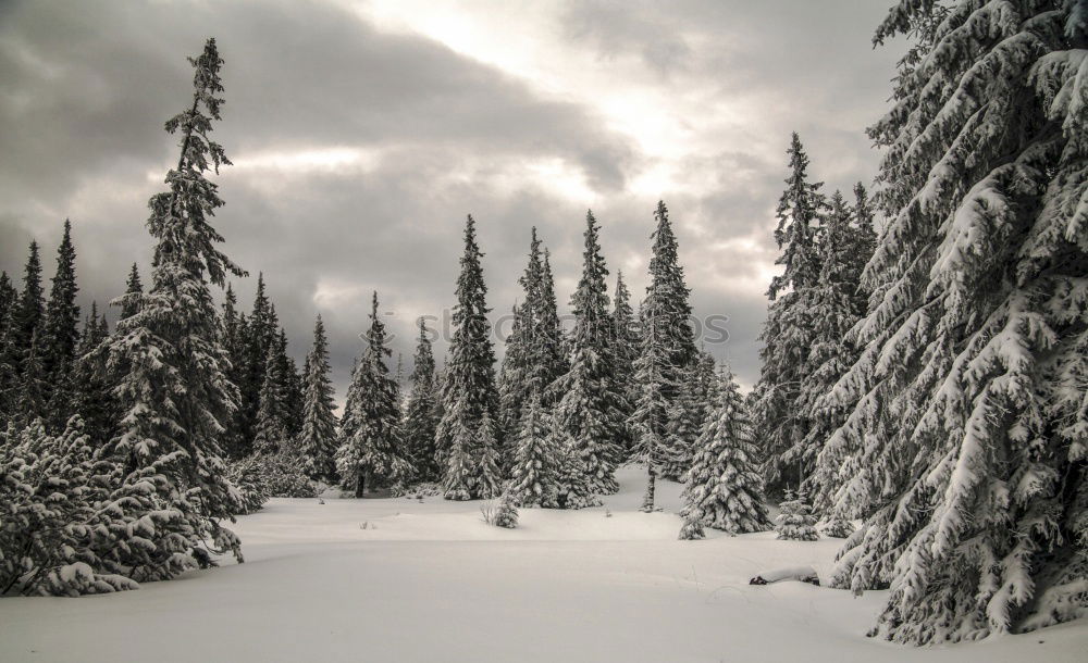 Similar – Image, Stock Photo morning sunrise over cabin in winter alpine forest and snow