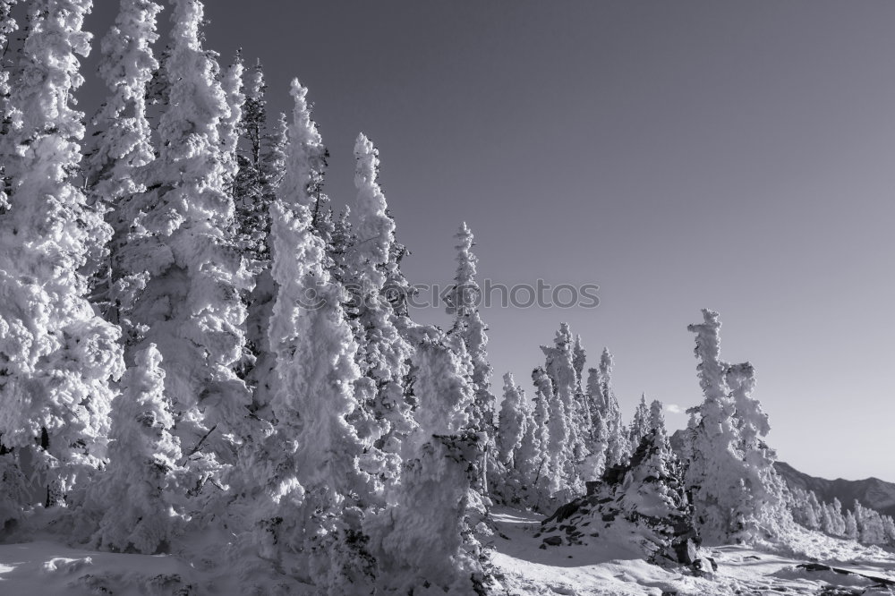 Similar – Image, Stock Photo Winter landscape on the Brocken in the Harz Mountains