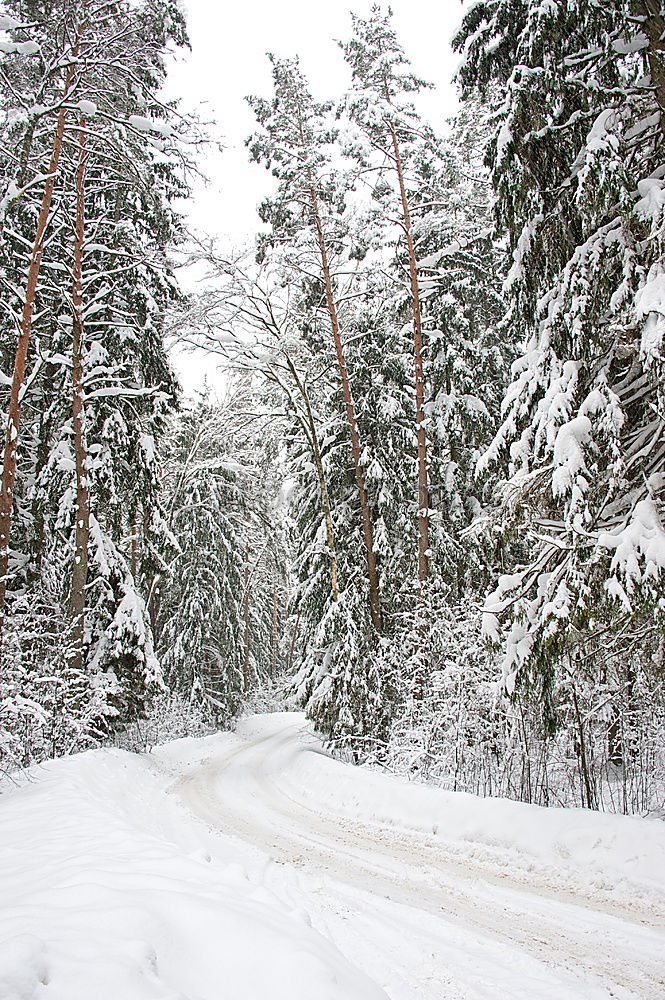 Similar – Image, Stock Photo Winter in the mountains