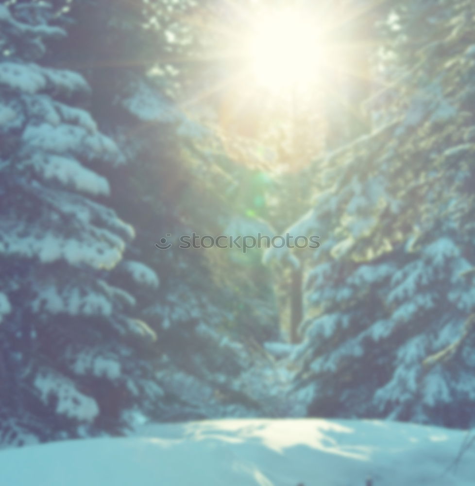 Similar – Woman walking outdoors on sunny snowy day in winter