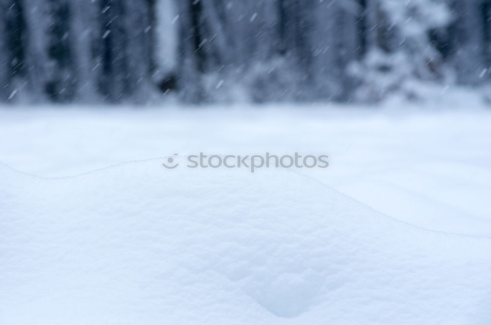 Similar – Foto Bild Mülltcontainer im Neuschnee