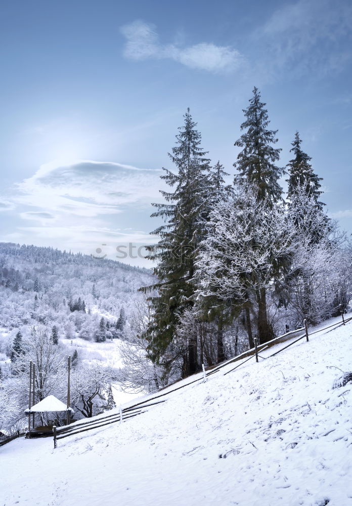 Similar – Winterdorf Umwelt Natur