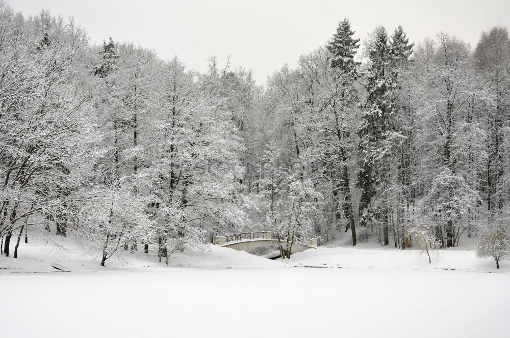 Similar – Image, Stock Photo hut magic Landscape Sky