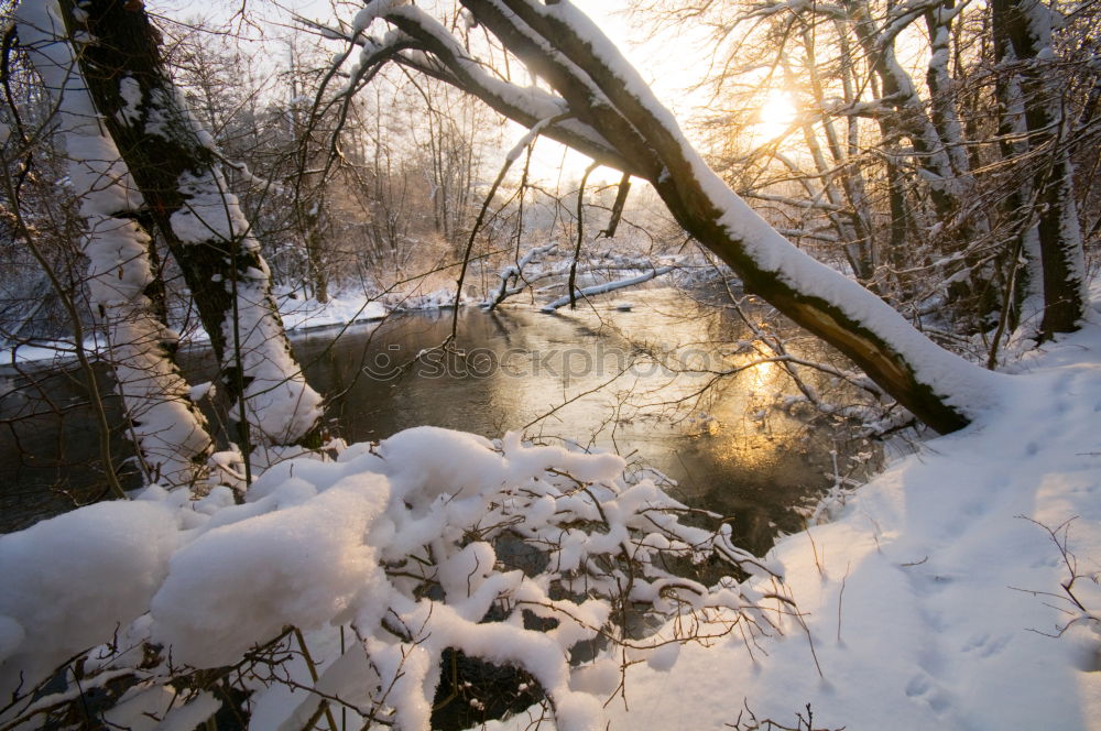 -7° Umwelt Natur