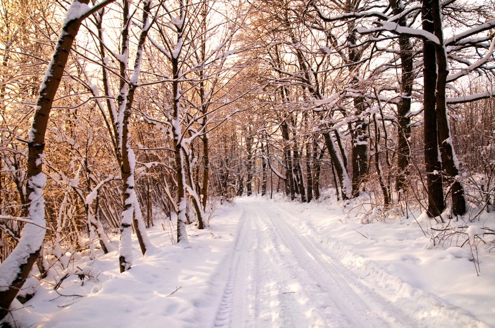 Similar – Image, Stock Photo Snow landscape with road