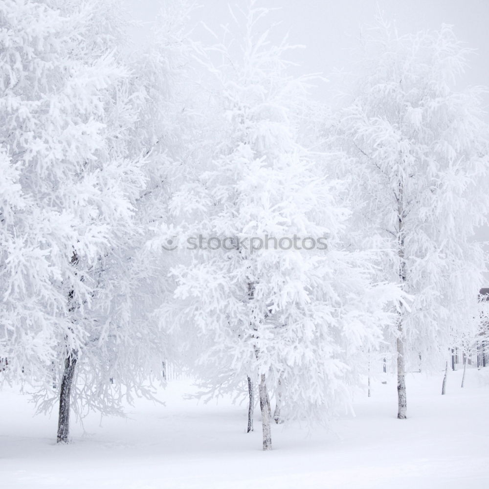 Similar – Foto Bild Weihnachtszeit, Weihnachtszeit, schöne Weihnachtszeit