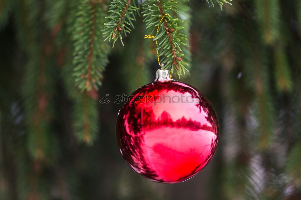 Similar – Image, Stock Photo Nostalgic, festive Christmas decoration with delicate fir branches, red bauble and ribbon. Red Christmas bauble hangs shiny on branches. Shiny Christmas bauble hangs from branches in old white nostalgic porcelain pot at home.