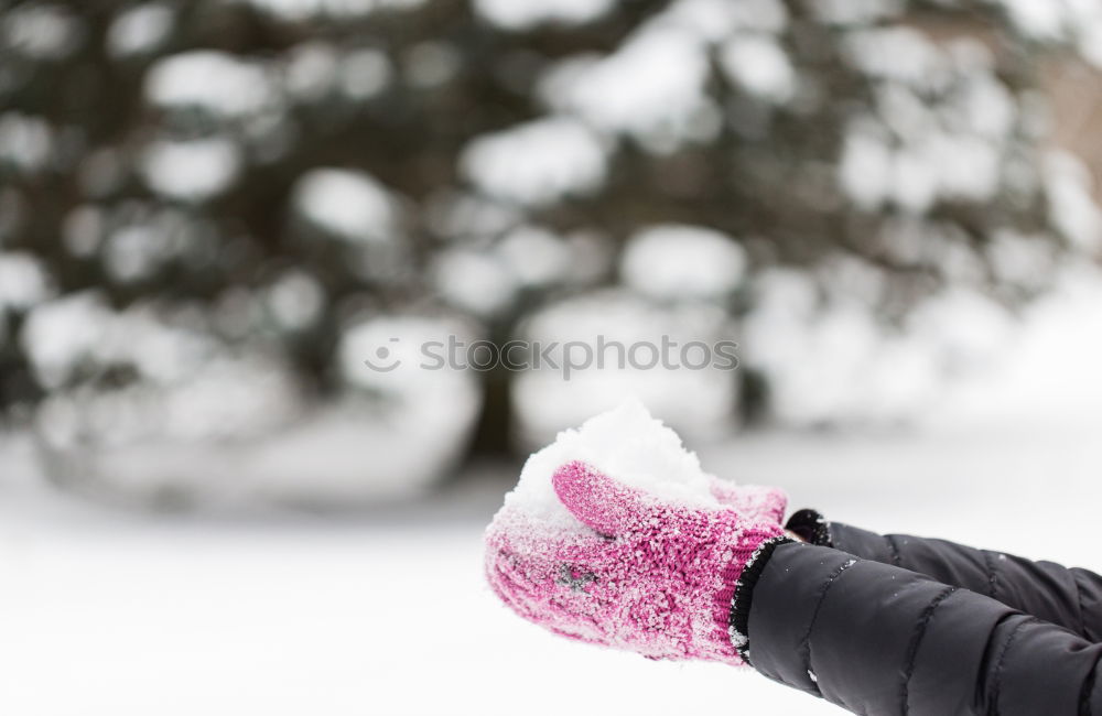 Similar – portrait woman boots on a road with snow in winter walking