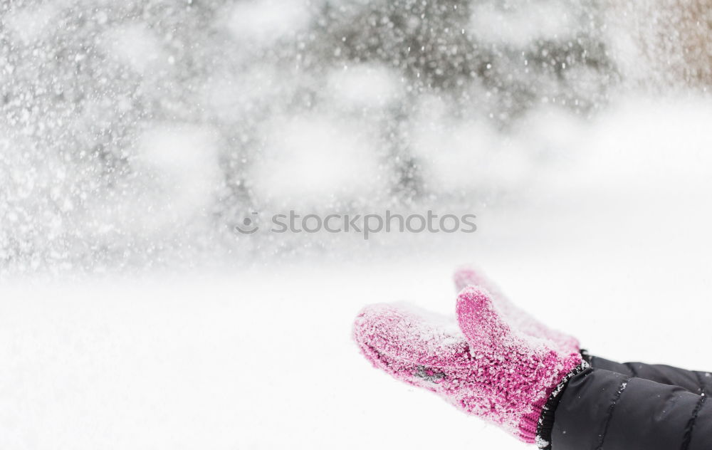 Similar – Snow flurries.