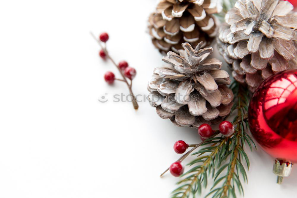 Similar – Image, Stock Photo Christmas decoration in a wood table outdoors