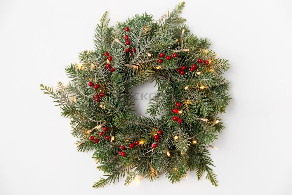 Similar – Image, Stock Photo Hand holding Christmas wreath