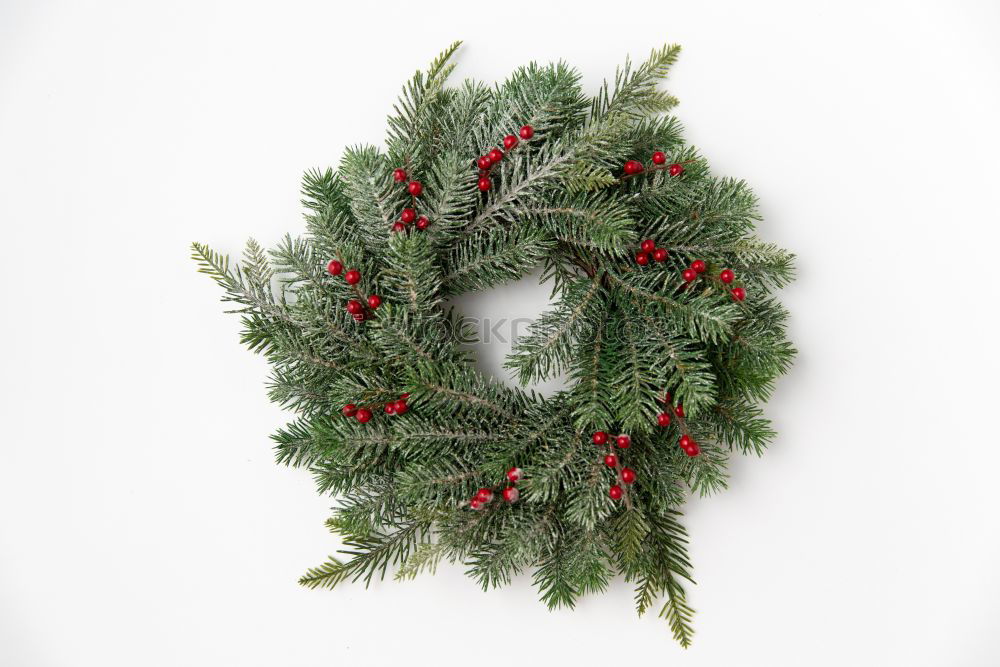 Similar – Image, Stock Photo Hand holding Christmas wreath