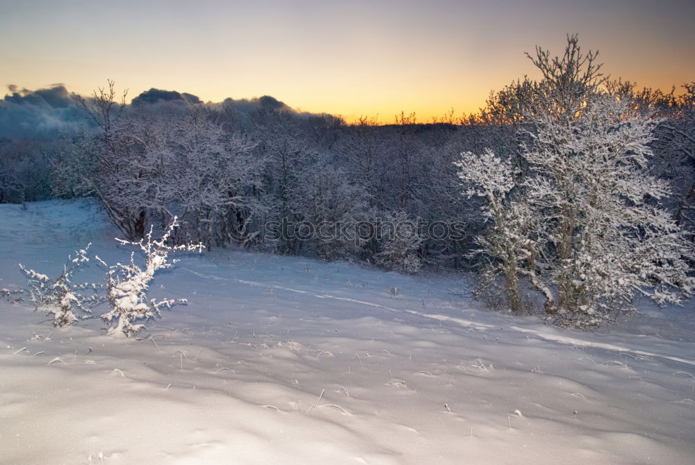 Similar – Foto Bild gestern Nacht -20 Grad