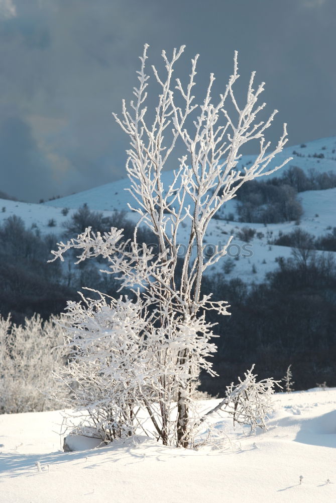 Similar – Image, Stock Photo View into the valley Fog
