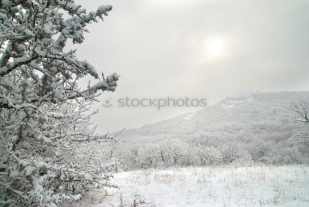 Similar – Winter landscape- icy forest