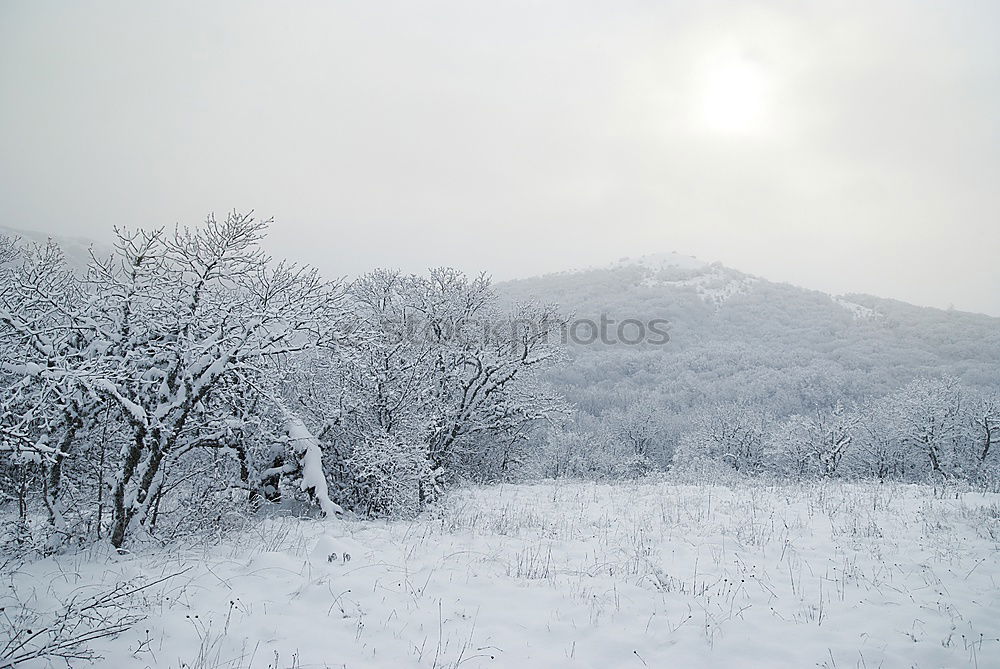 Similar – Winter landscape- icy forest