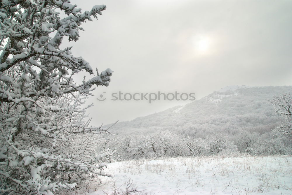 Similar – Winter landscape- icy forest