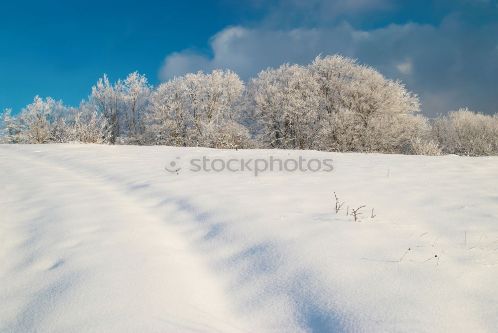 pallets in winter Winter