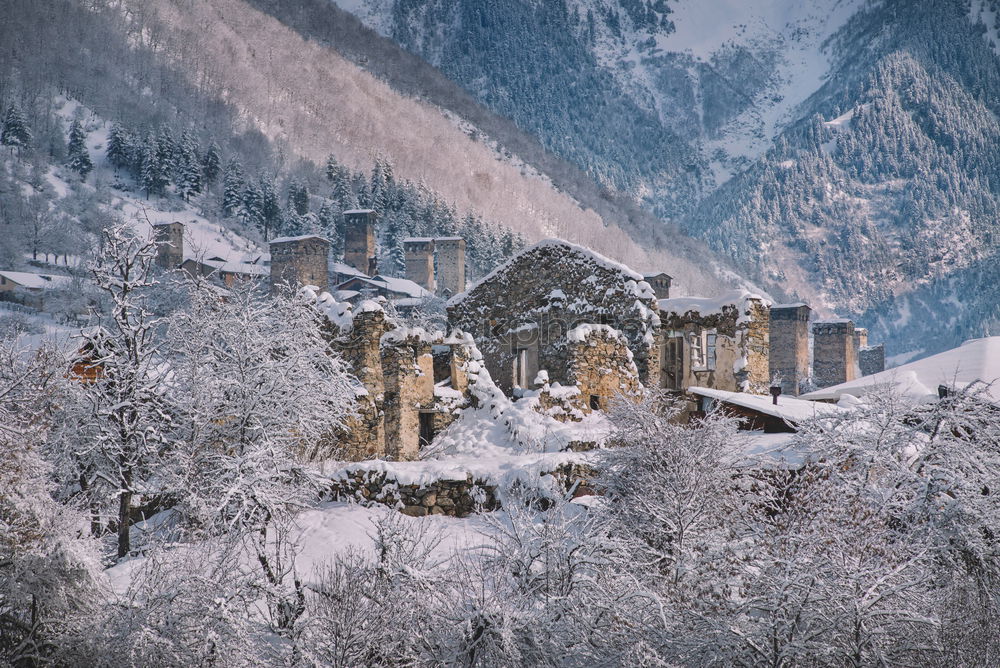 Similar – Image, Stock Photo Neuschwanstein Castle