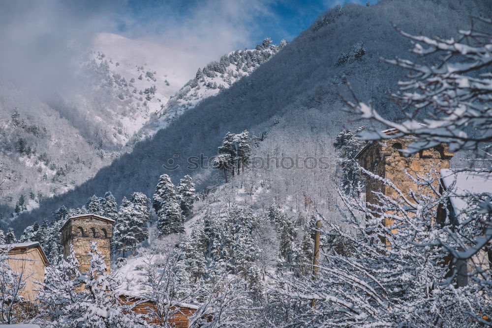 Similar – Image, Stock Photo Neuschwanstein Castle