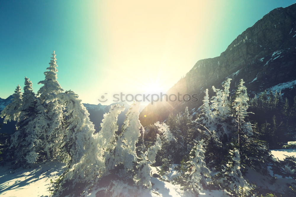 Similar – Image, Stock Photo byebye sunshine Sunset