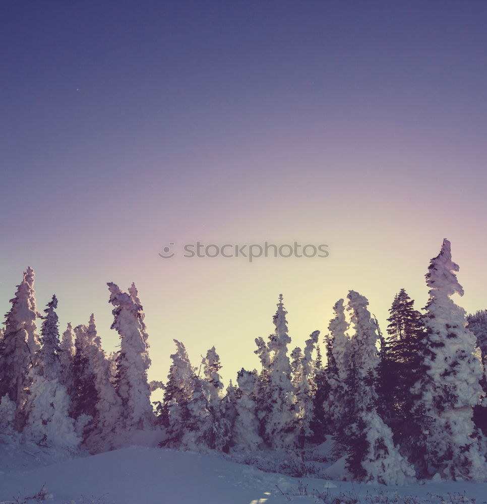 Similar – Image, Stock Photo Mountain road through piles of snow