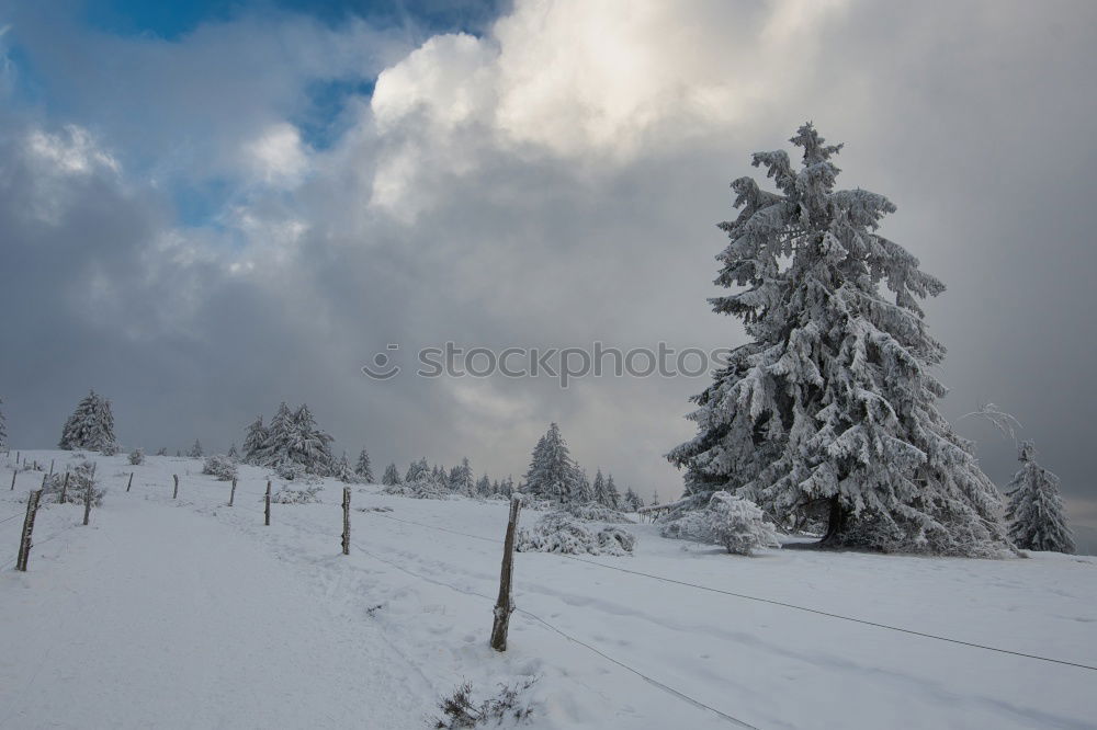 Similar – ….Richtung Frühling….?