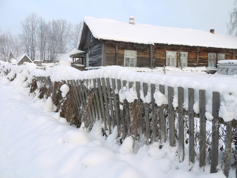 Similar – Strict winter in the Black Forest