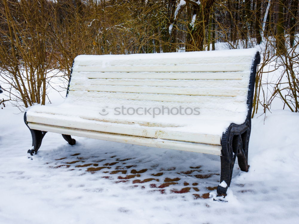 Similar – Image, Stock Photo winter sun. Trip Winter