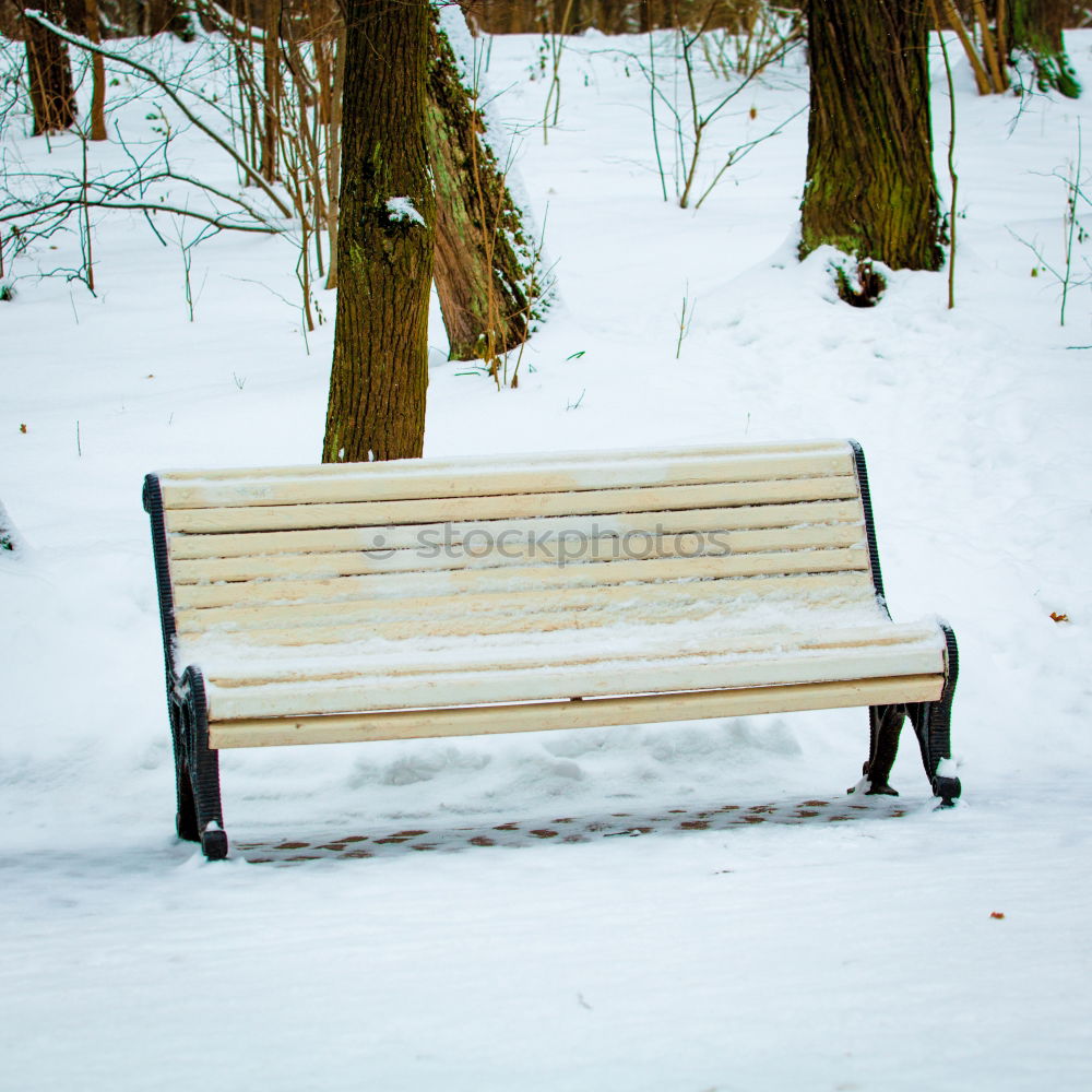 Image, Stock Photo financial crisis III Bench