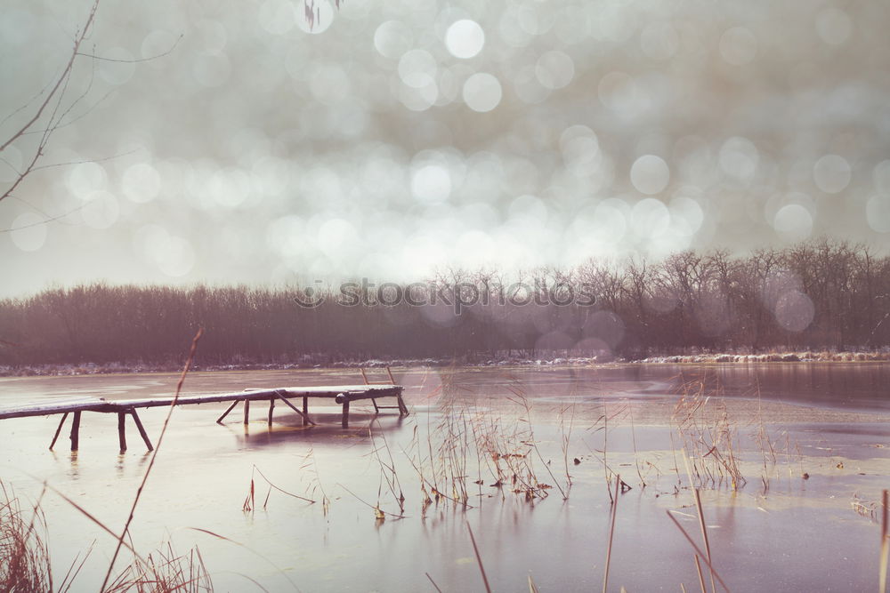 Similar – Image, Stock Photo autumn fog Environment