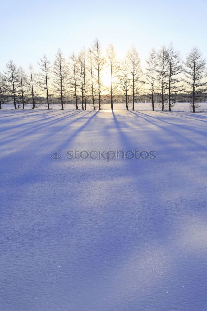 Similar – Image, Stock Photo Towards the sun I