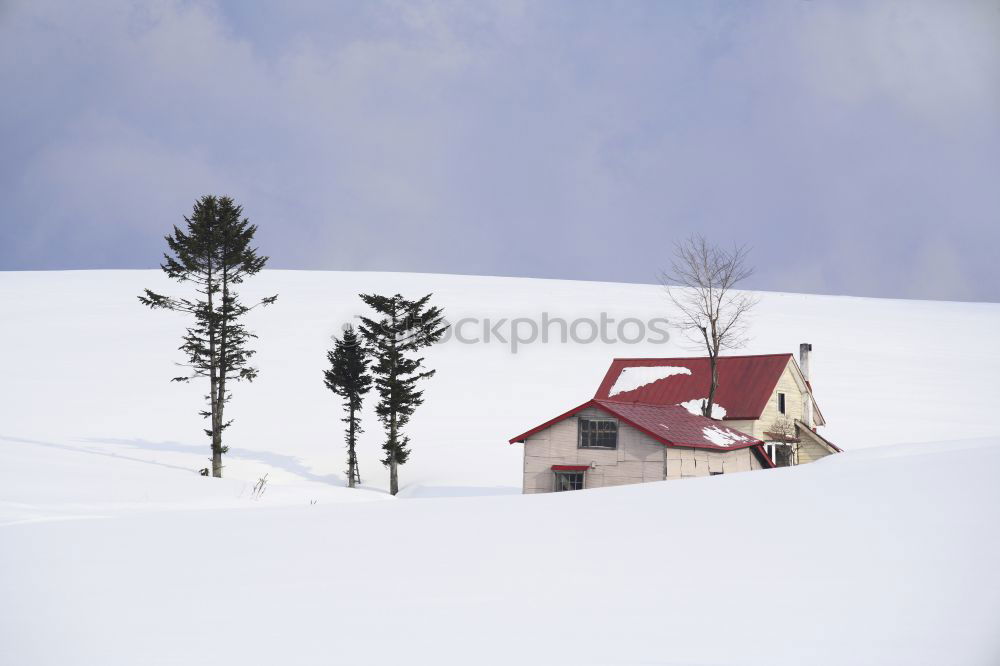 Similar – Image, Stock Photo Alpine winter