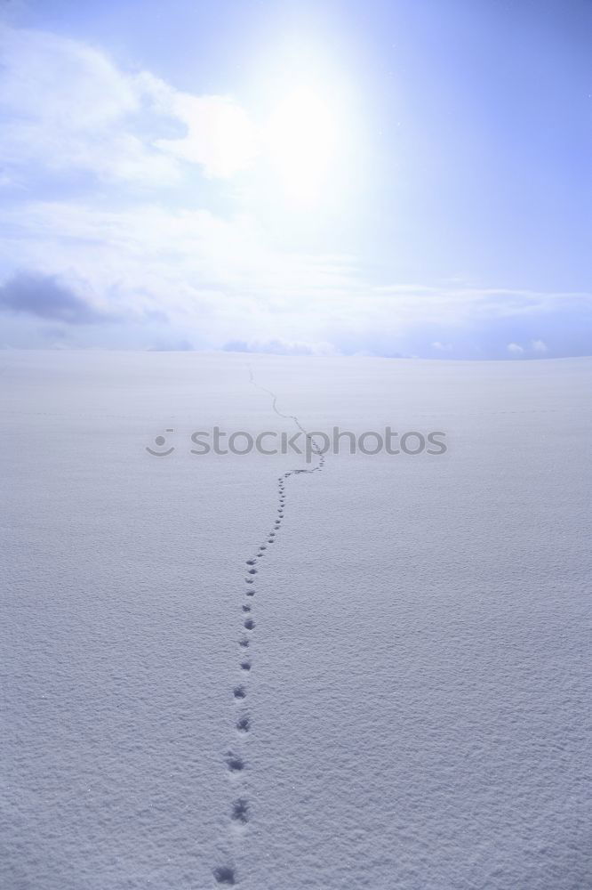 Similar – Tracks in the snow #4