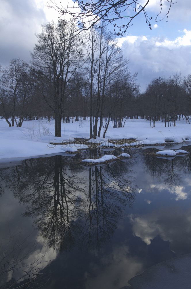 Similar – Image, Stock Photo Silent river in winter sleep