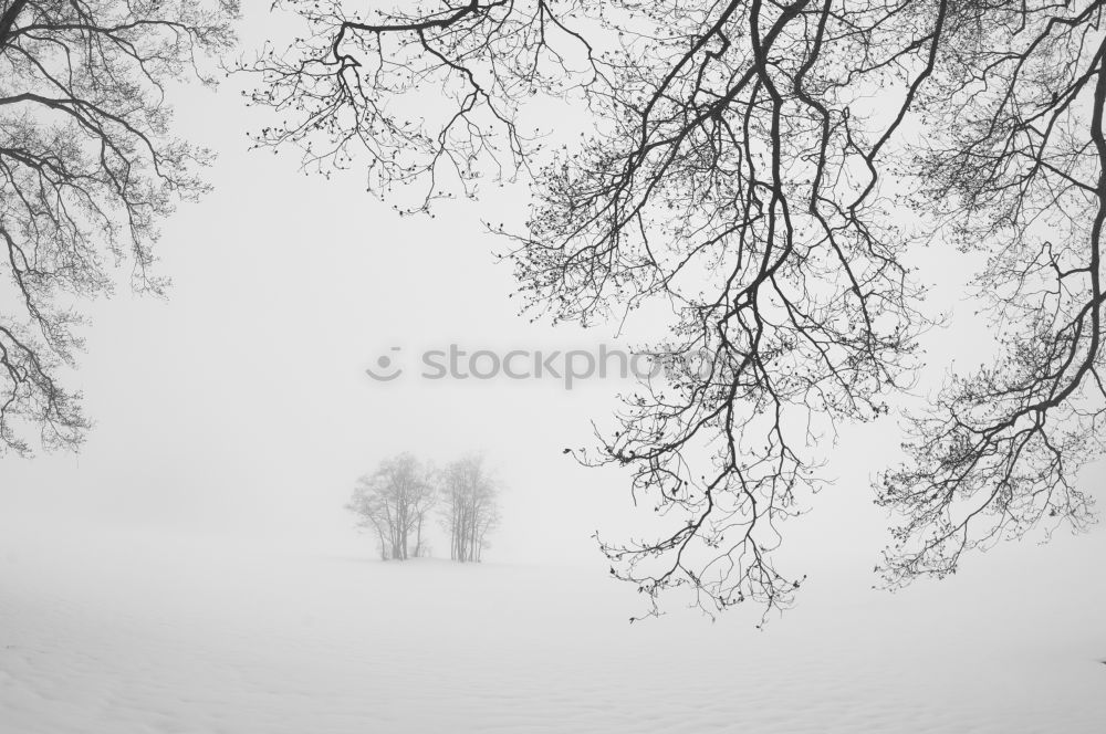 Similar – Image, Stock Photo Snowboard christmas card