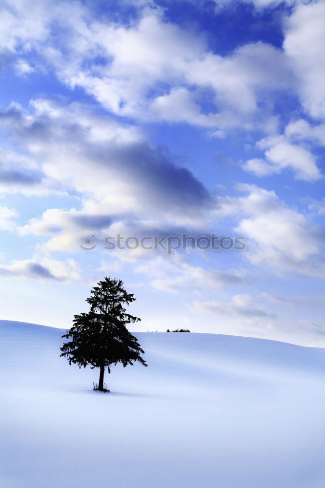 Similar – Image, Stock Photo winter twilight Winter