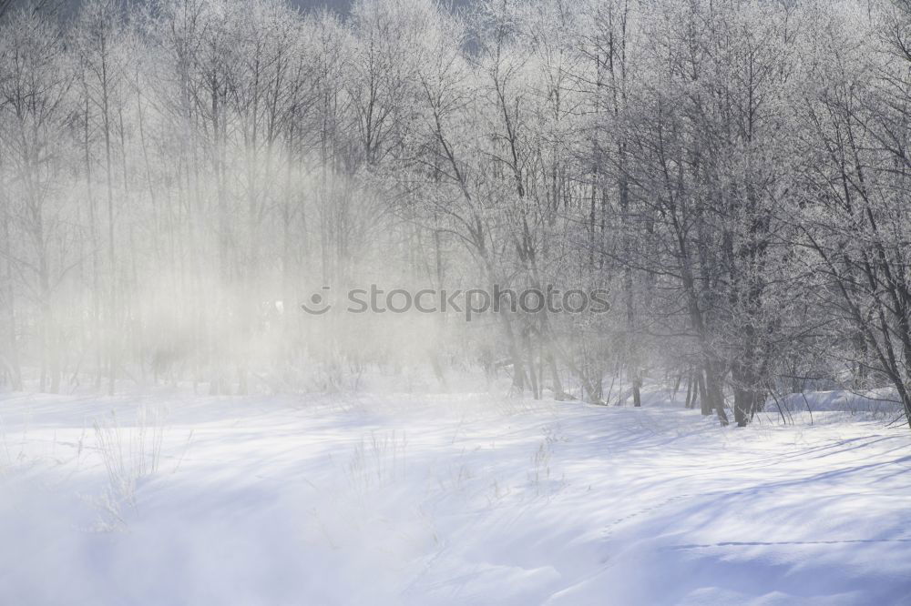 Similar – Image, Stock Photo winter landscape