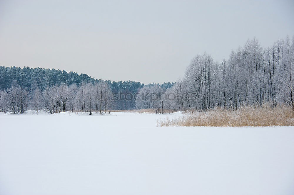 Similar – Foto Bild winterspaziergang