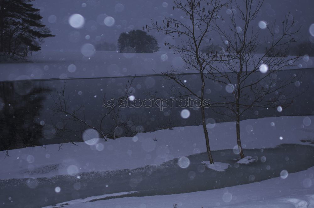 Similar – Foto Bild schneeflocken Winter