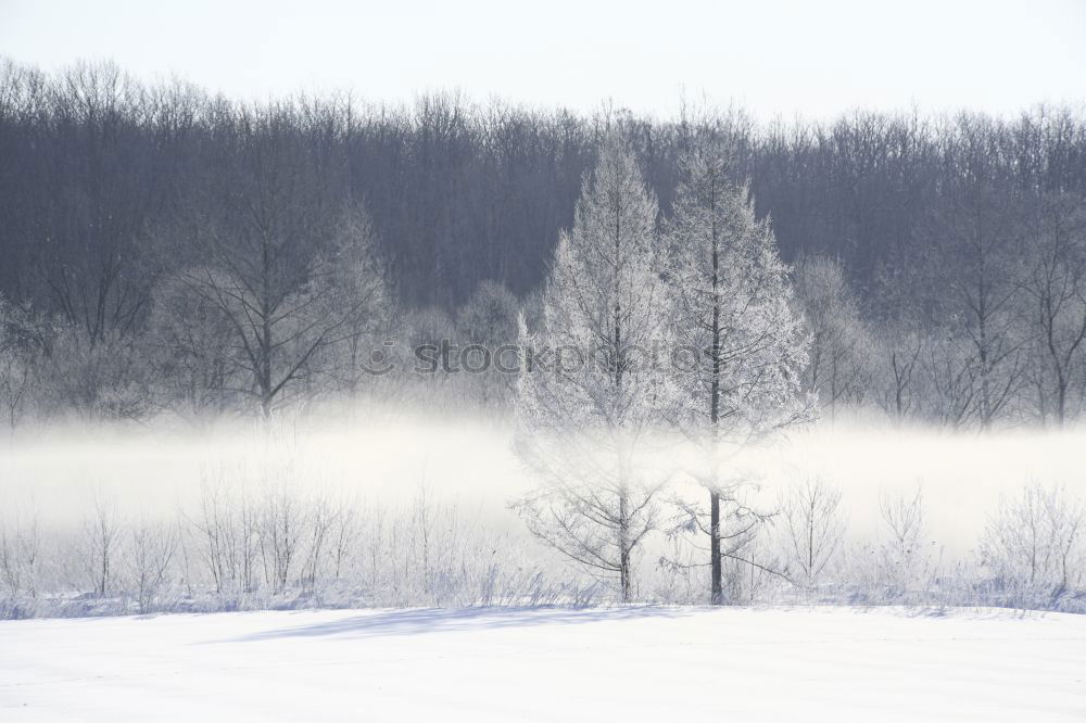 Similar – Image, Stock Photo winter landscape