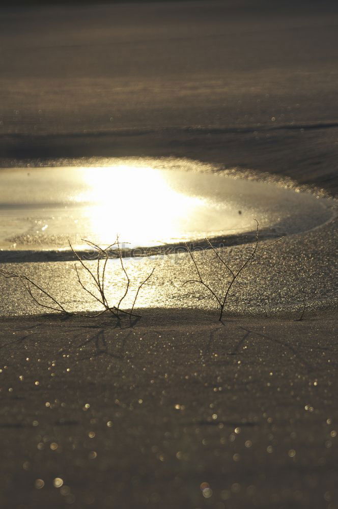 Goldene Mondlandschaft