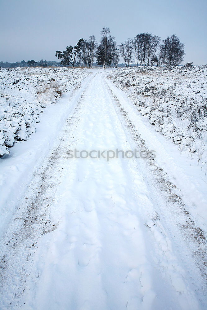 Similar – Image, Stock Photo beginning of winter Winter